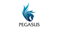 PEGASUS Parts in USA